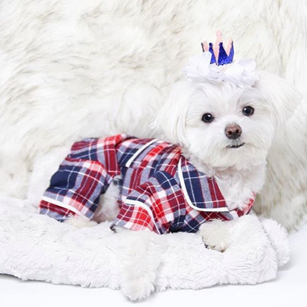 Blue Plaid Dog Pajamas