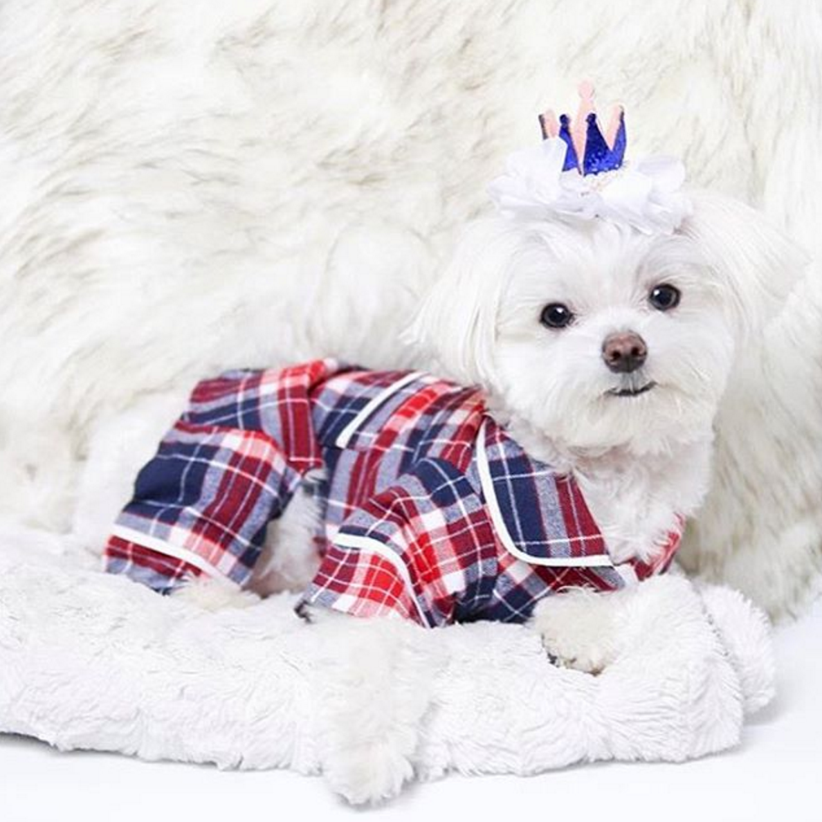 Blue Plaid Dog Pajamas