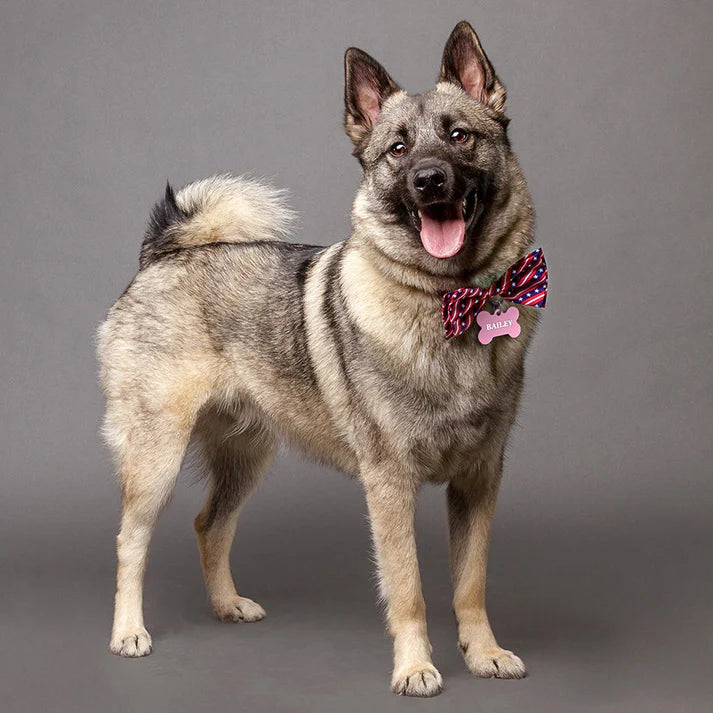 Pink Aluminum Bone ID Tag