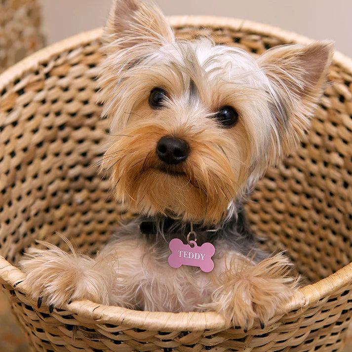 Pink Aluminum Bone ID Tag