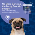 NaturVet No Scoot Plus Pumpkin Soft Chews 120 ct