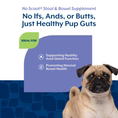 NaturVet No Scoot Plus Pumpkin Soft Chews 120 ct