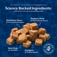NaturVet No Scoot Plus Pumpkin Soft Chews 120 ct