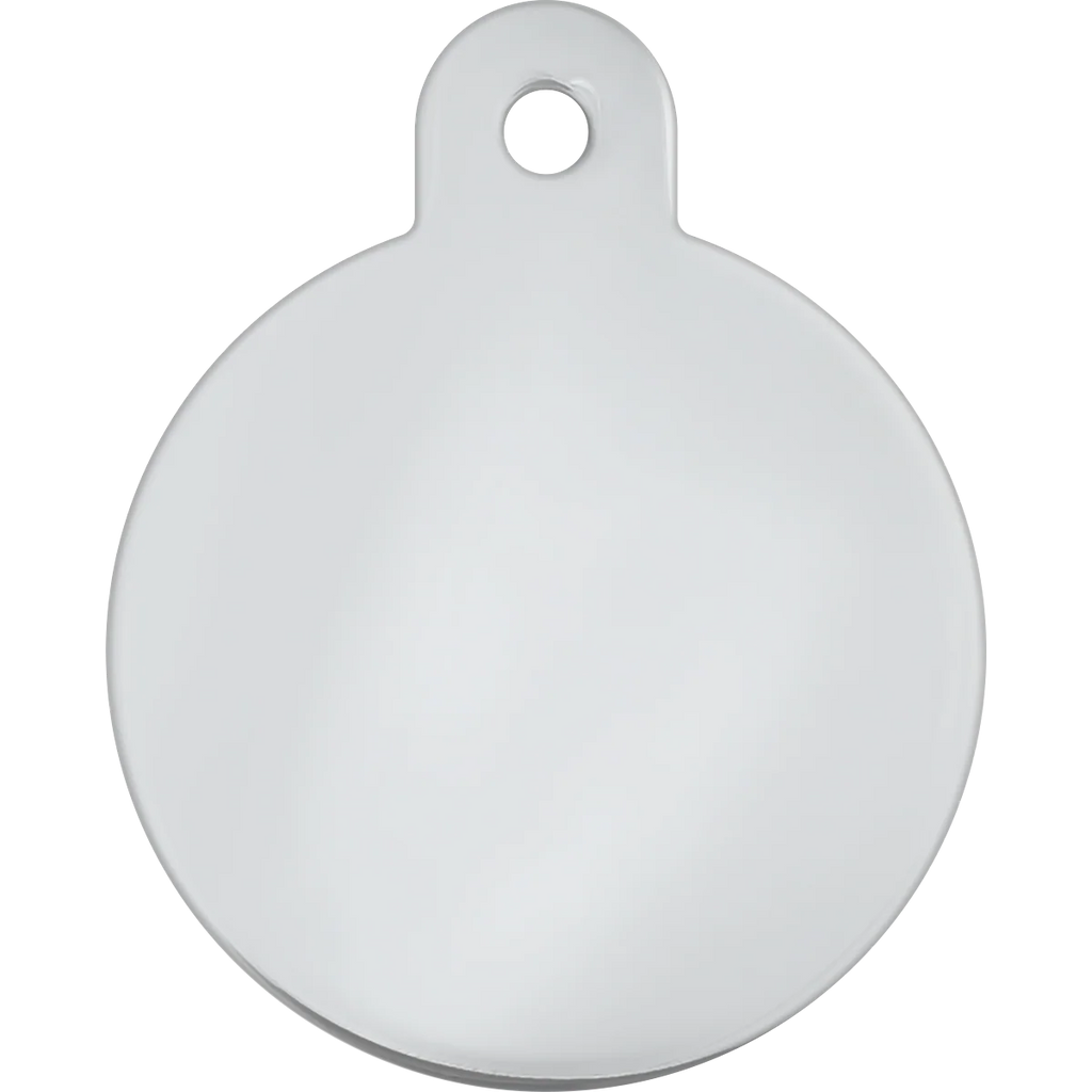 Rainbow Stripe Raised Edge Large Circle Tag