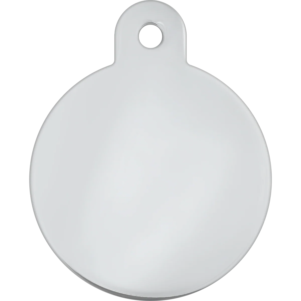 Rainbow Stripe Raised Edge Large Circle Tag