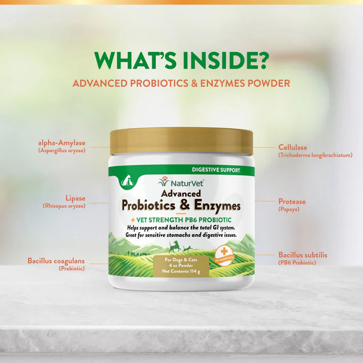 NaturVet Advanced Probiotics & Enzymes Powder 4 oz