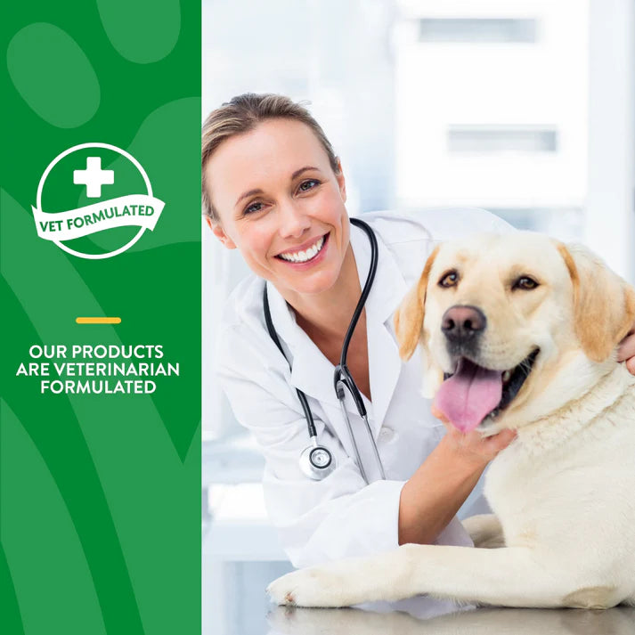 NaturVet Advanced Probiotics & Enzymes Powder 4 oz