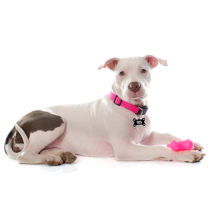 Blame the Cat Raised Edge Large Bone Tag