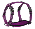 Alcott Reflective Adventure Harness