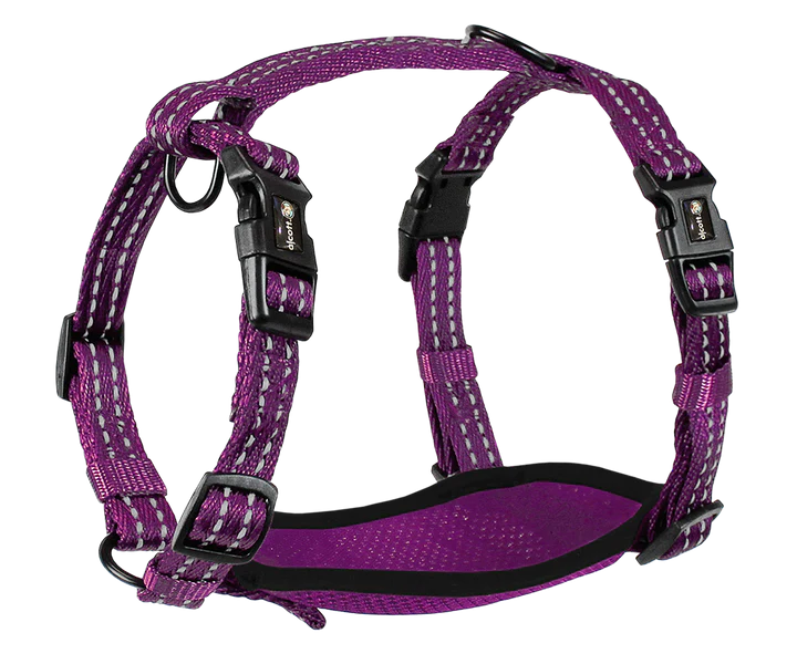 Alcott Reflective Adventure Harness