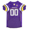 Minnesota Vikings NFL Jersey