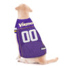 Minnesota Vikings NFL Jersey