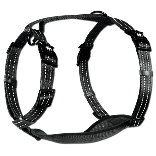 Alcott Reflective Adventure Harness