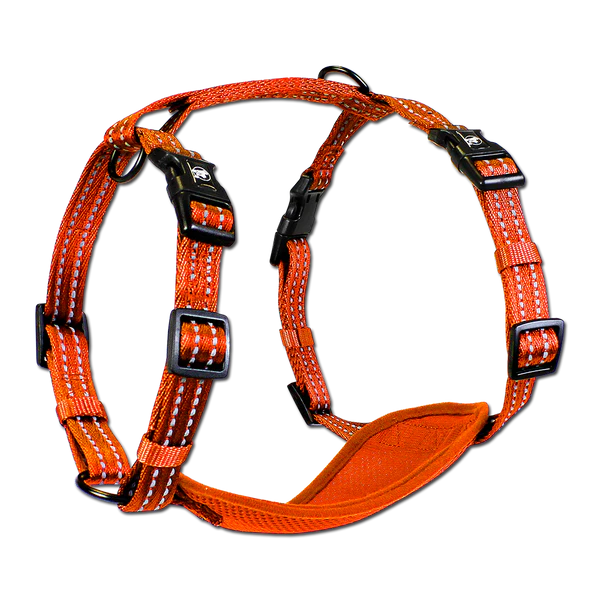 Alcott Reflective Adventure Harness