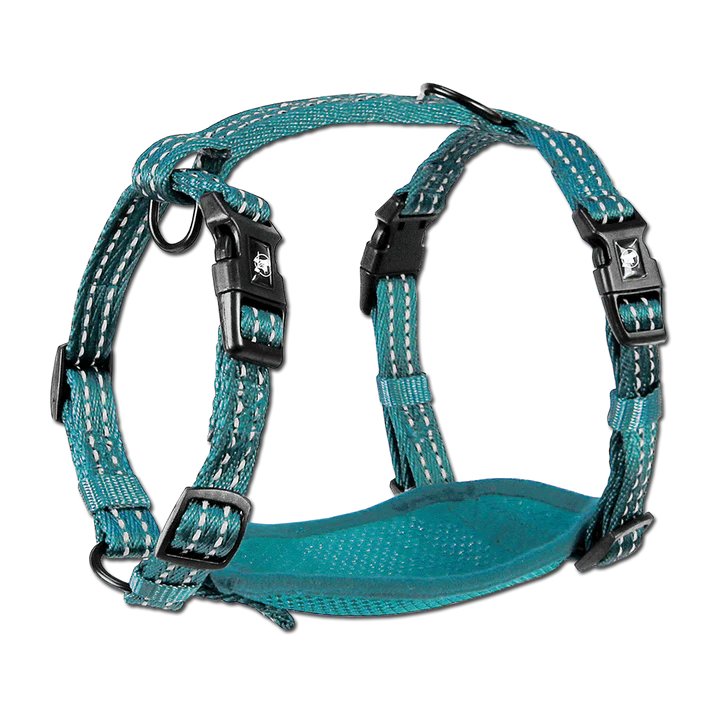 Alcott Reflective Adventure Harness