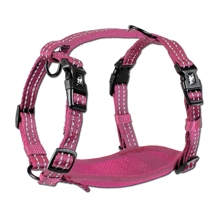 Alcott Reflective Adventure Harness