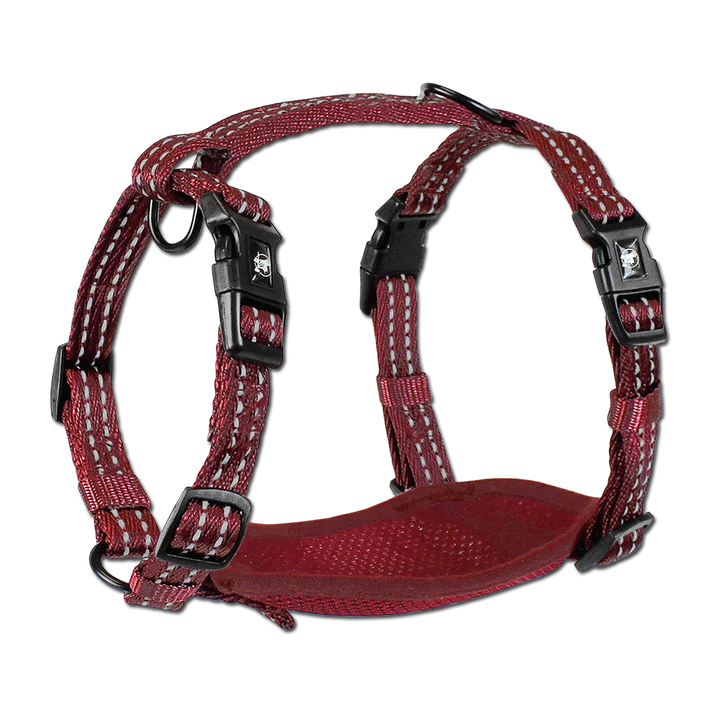 Alcott Reflective Adventure Harness