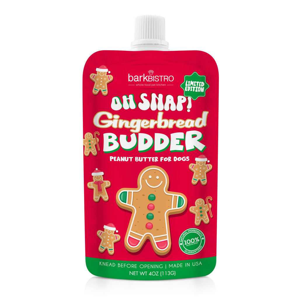 Limited Edition Oh Snap! Gingerbread Holiday Buddy Budder 