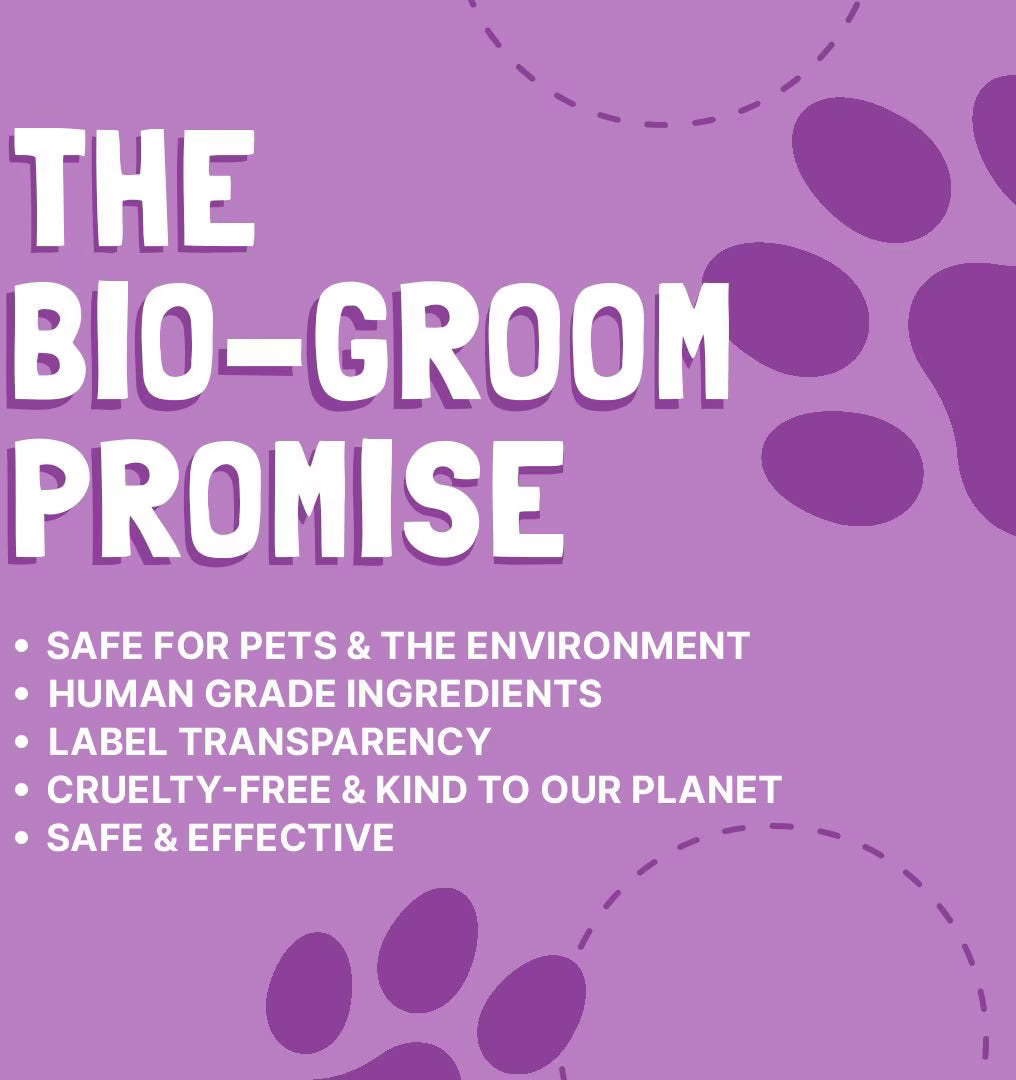Bio-Groom Groom 'N Fresh Creme Rinse Dog Conditioner, 12-fl oz bottle