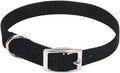 Coastal Pet Nylon Single-Ply Dog Buckle Collar