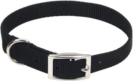 Coastal Pet Nylon Single-Ply Dog Buckle Collar